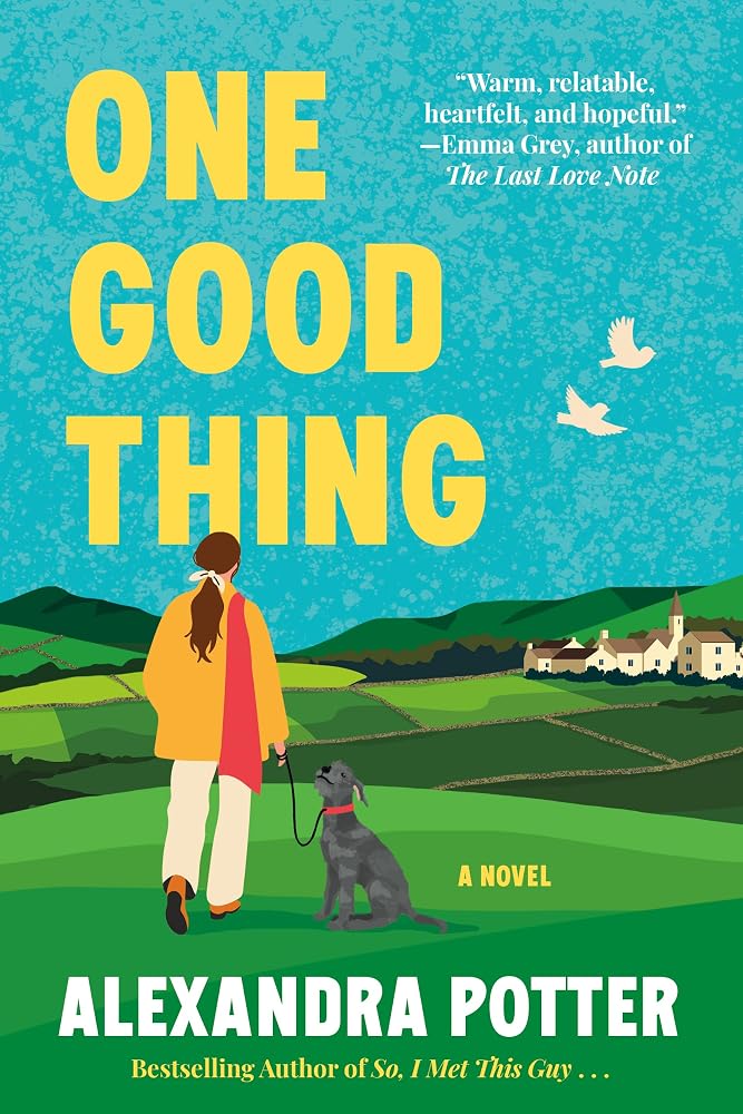 One Good Thing: A Novel cover image