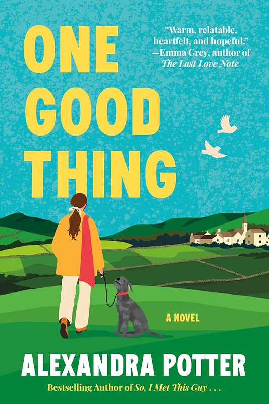 One Good Thing: A Novel cover image