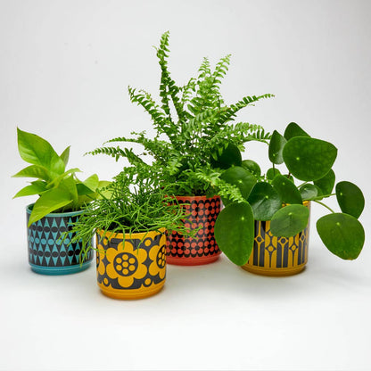 Magpie x Hornsea Small Planty - Plant Pot Backgammon Teal
