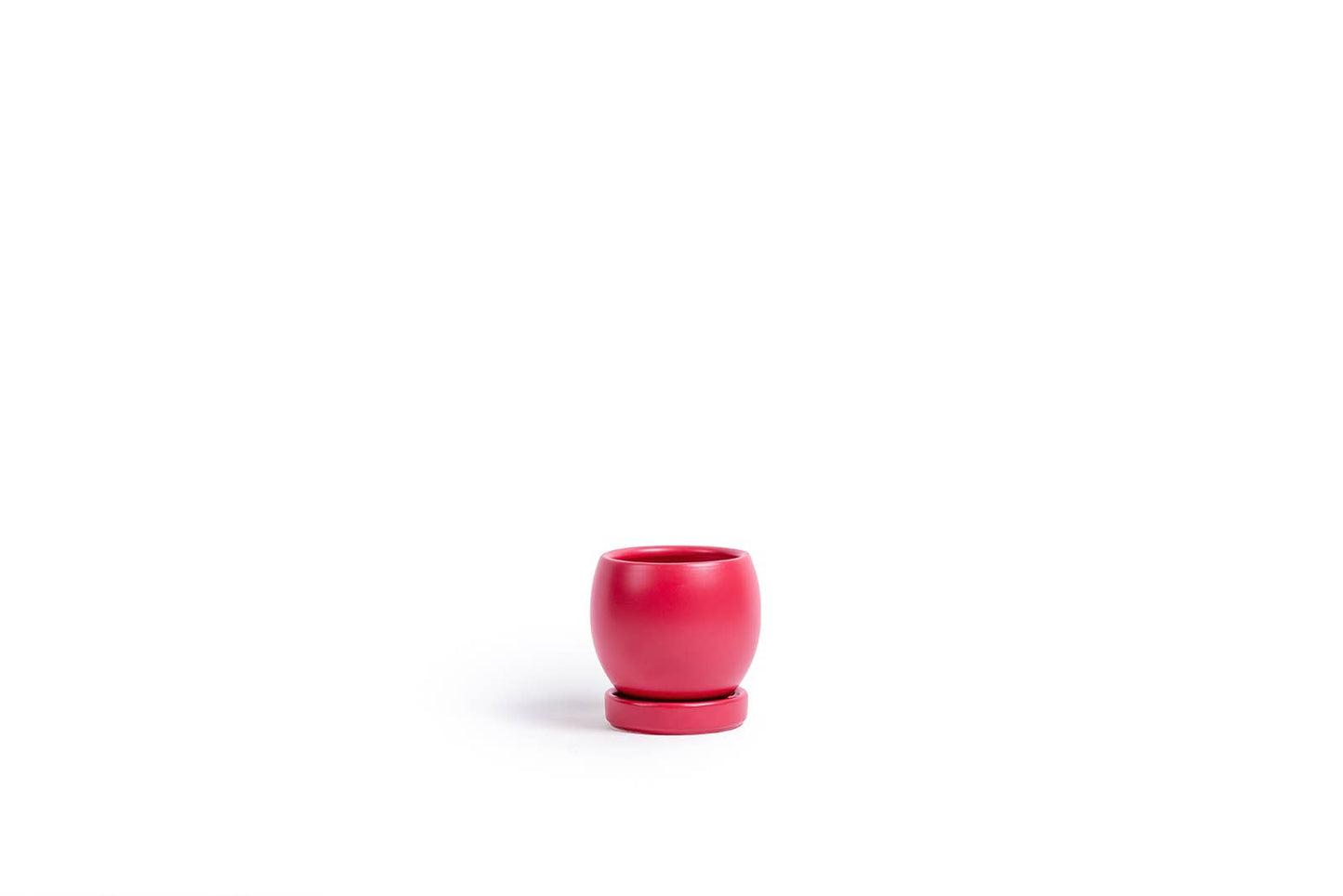 Watermelon 4.25" Bollé Pots