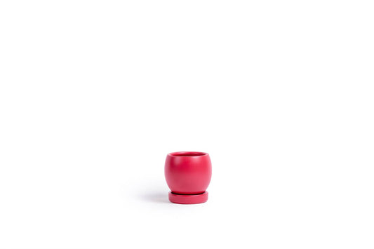 Watermelon 4.25" Bollé Pots