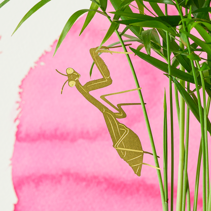 Plant Animal - Praying Mantis, Insect Decoration