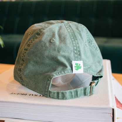 Books Books Books Dad Hat