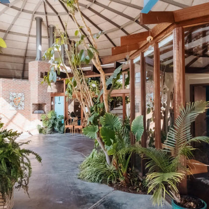 Plant Class @ the Dome House - September 25th
