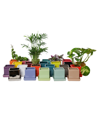 Cube Pot With Saucer And Drainage Hole 60 Plus Colors
