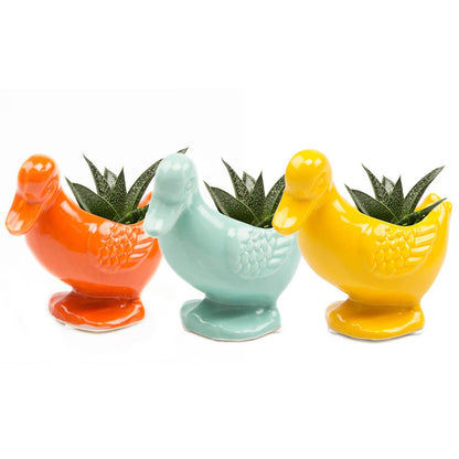 Duck/Turtle Indoor Plant Pot for Succulents