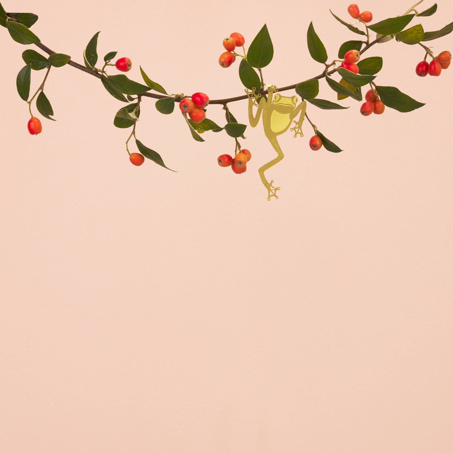 Plant Animal - Tree Frog, Houseplant Decoration