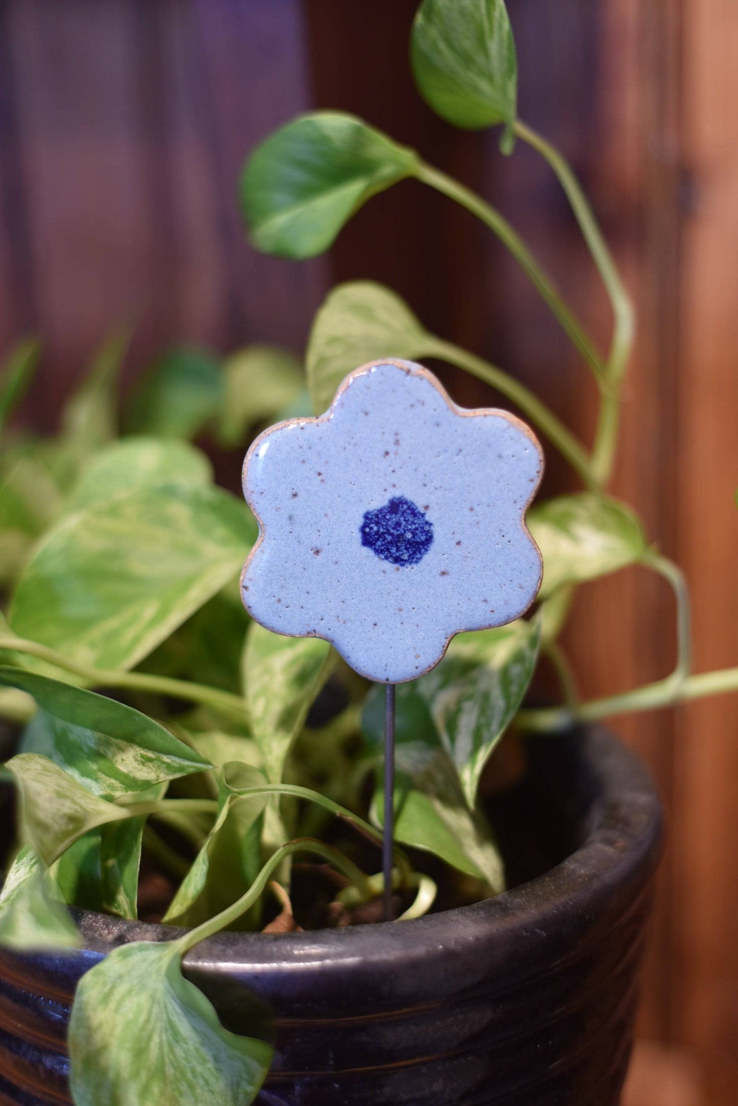 Plant Buddies - Flower