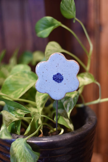 Plant Buddies - Flower