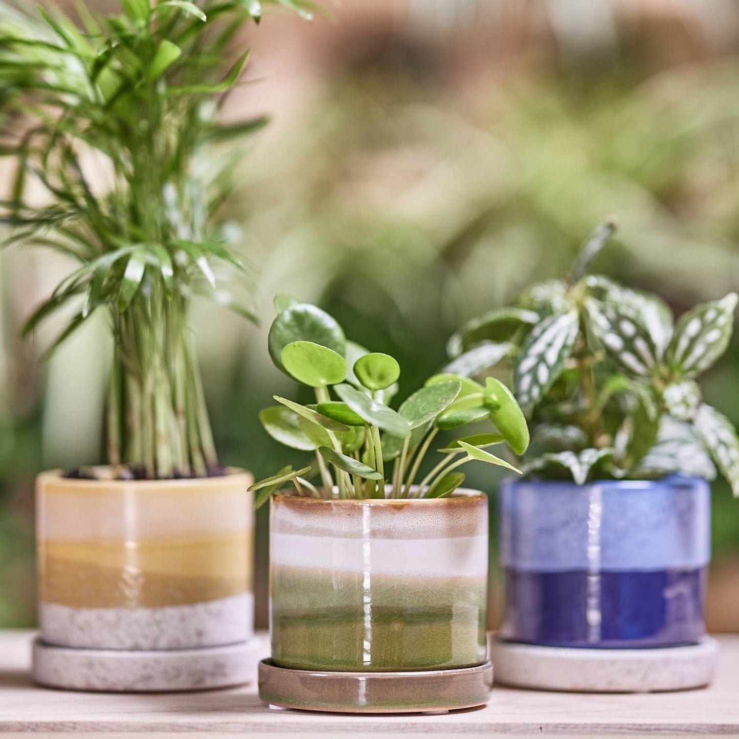 Minute Handmade Ceramic Planter Indoors Pot With Saucer