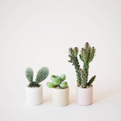 Tiny Pot | Beige