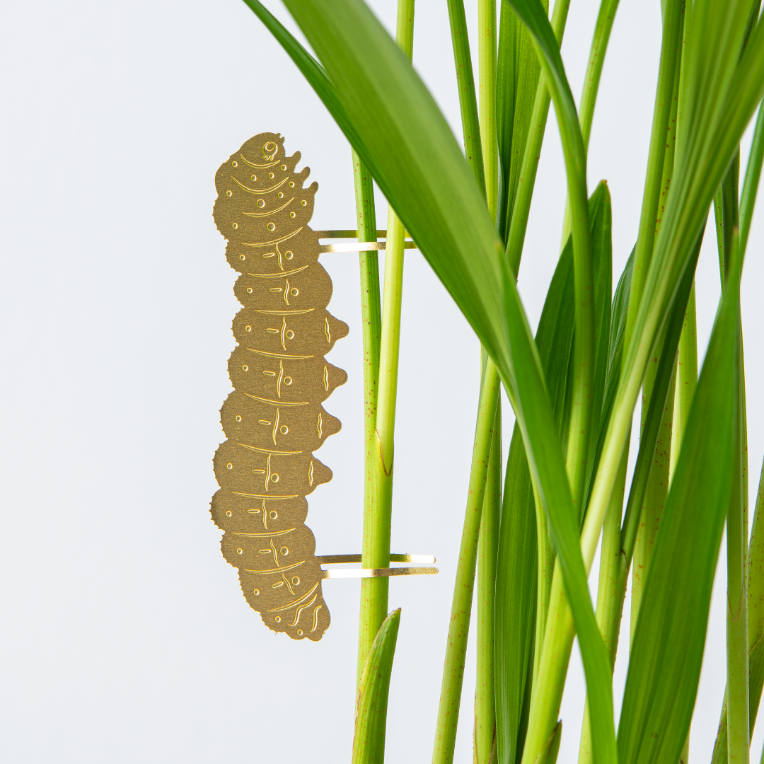 Plant Animal - Caterpillar, insect plant charm