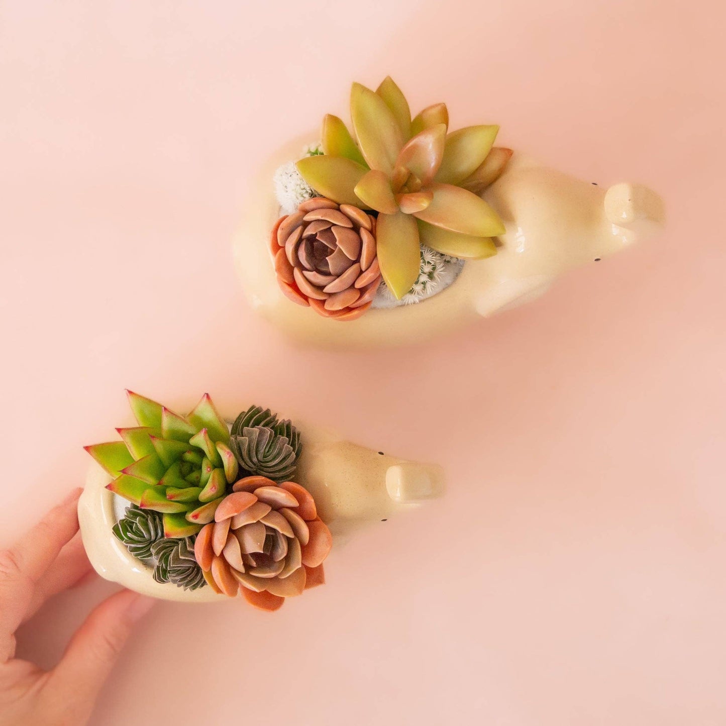 Elephant Planter | Sand