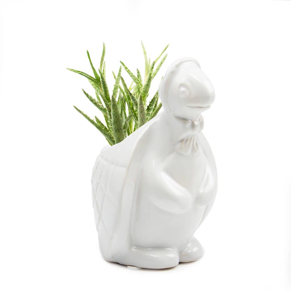 Duck/Turtle Indoor Plant Pot for Succulents