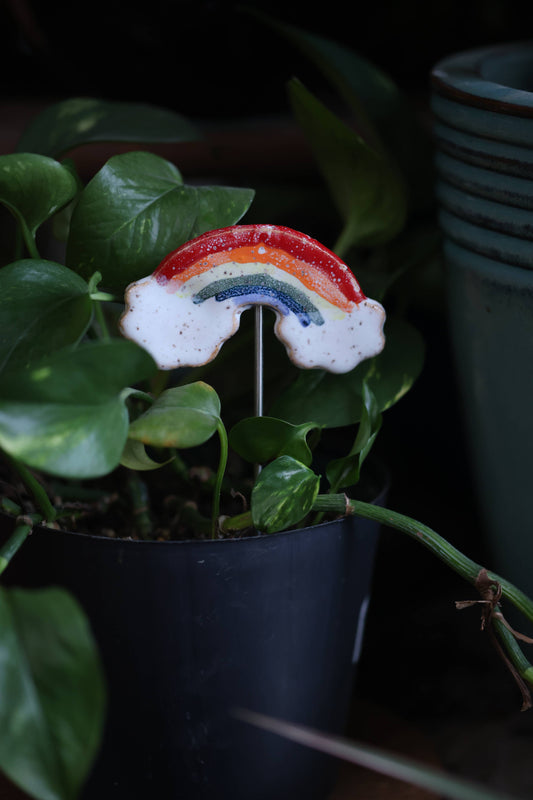 Plant Buddies - Rainbow