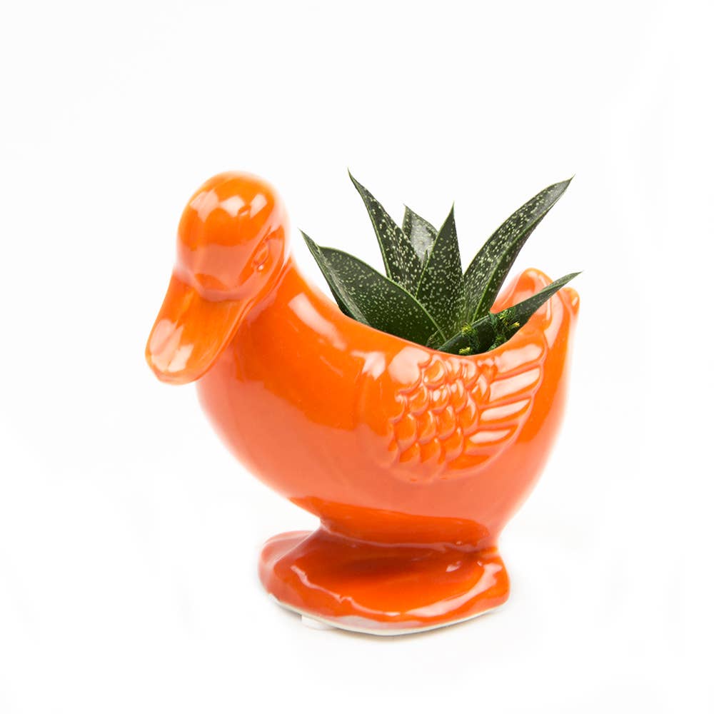 Duck/Turtle Indoor Plant Pot for Succulents