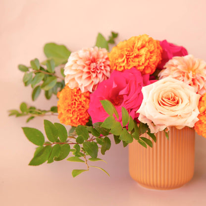 Lucy Planter | Ginger