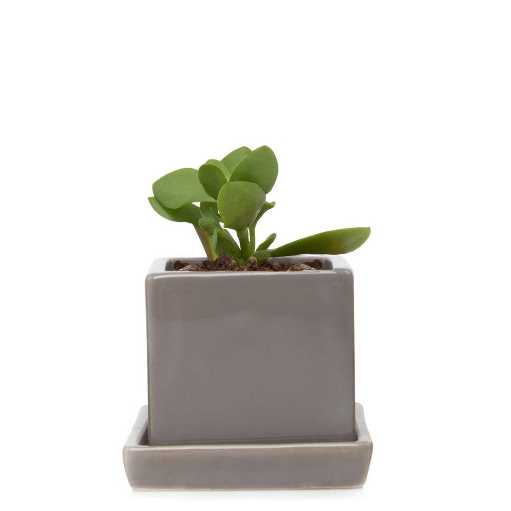 Cube Pot With Saucer And Drainage Hole 60 Plus Colors