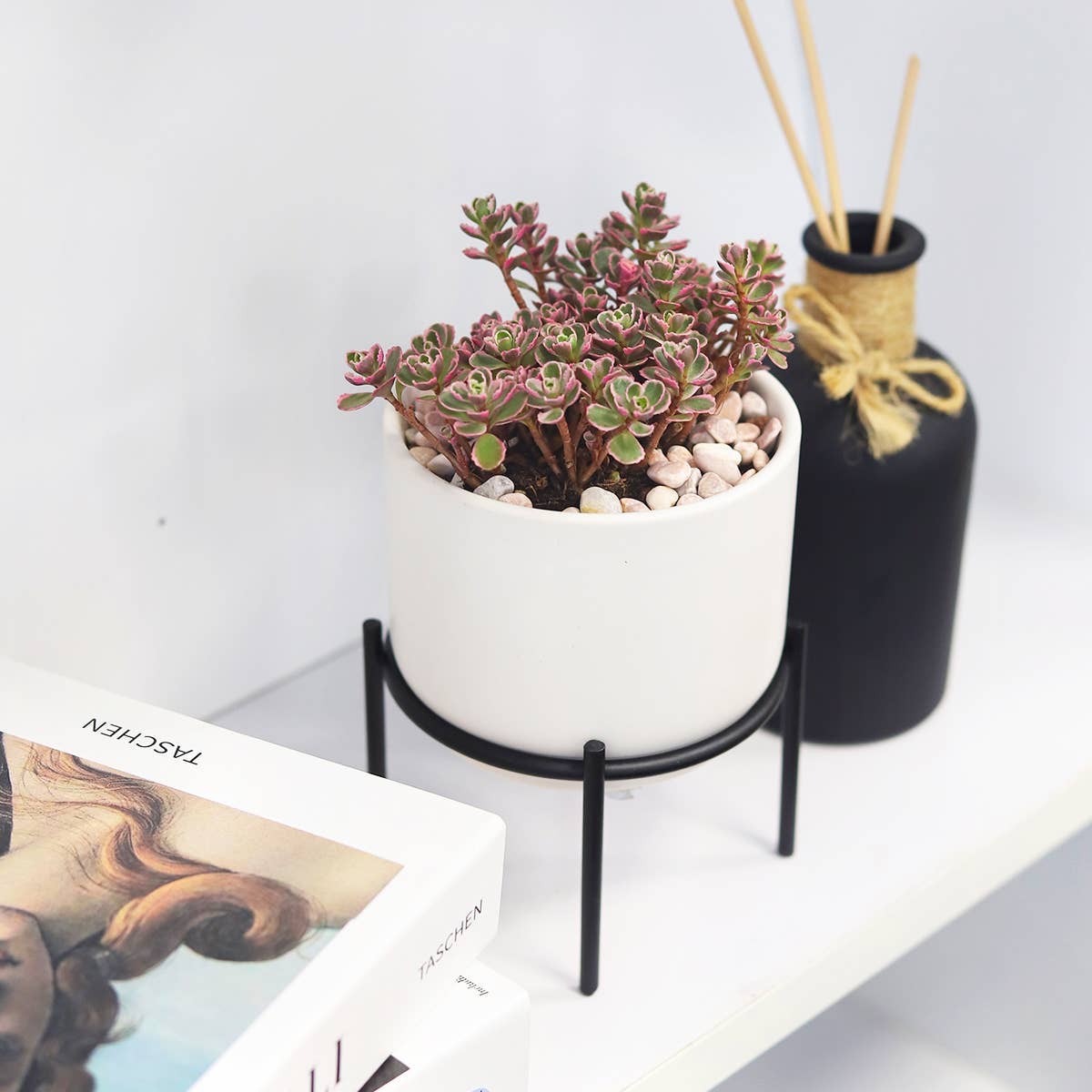 4" Solid White Ceramic Planter with Black Metal Stand