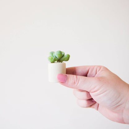 Tiny Pot | Beige