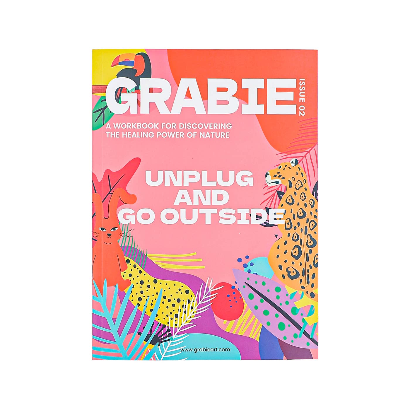 Unplug And Go Outside 30-day Workbook