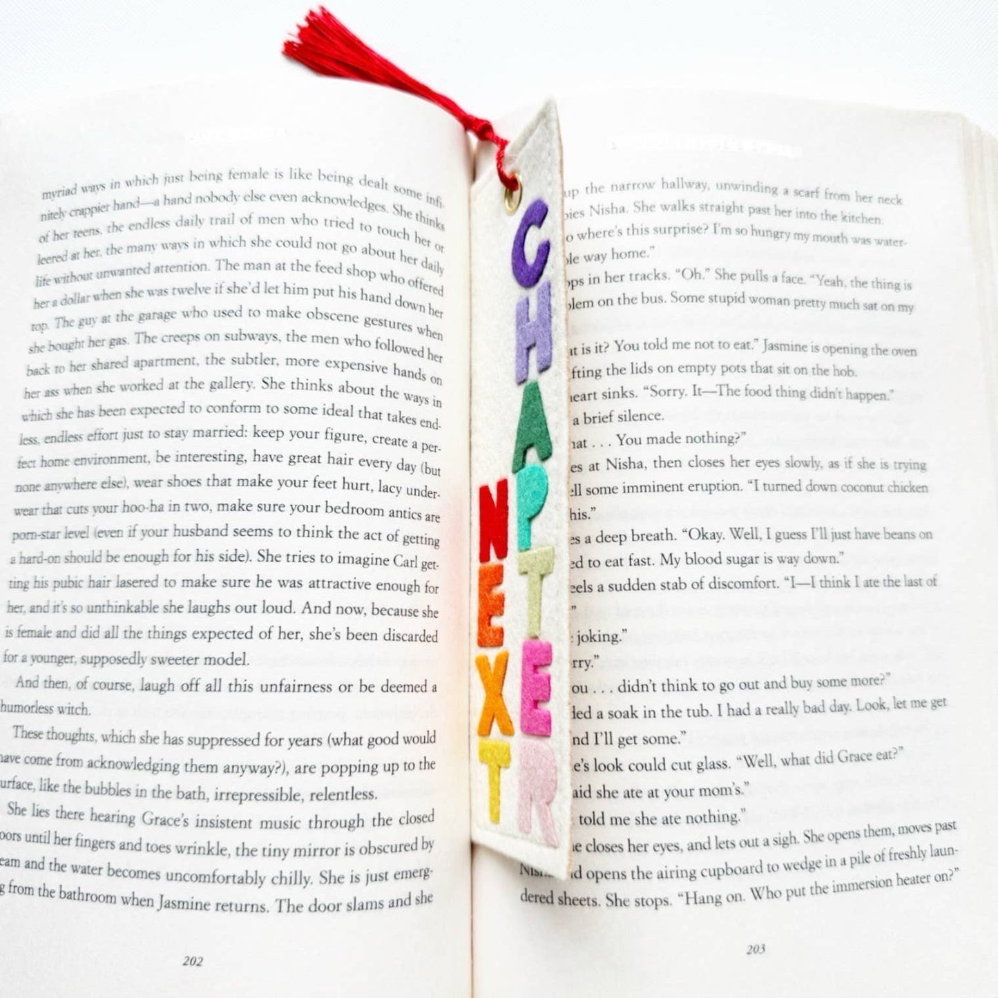 Next Chapter Felt Bookmark Rainbow