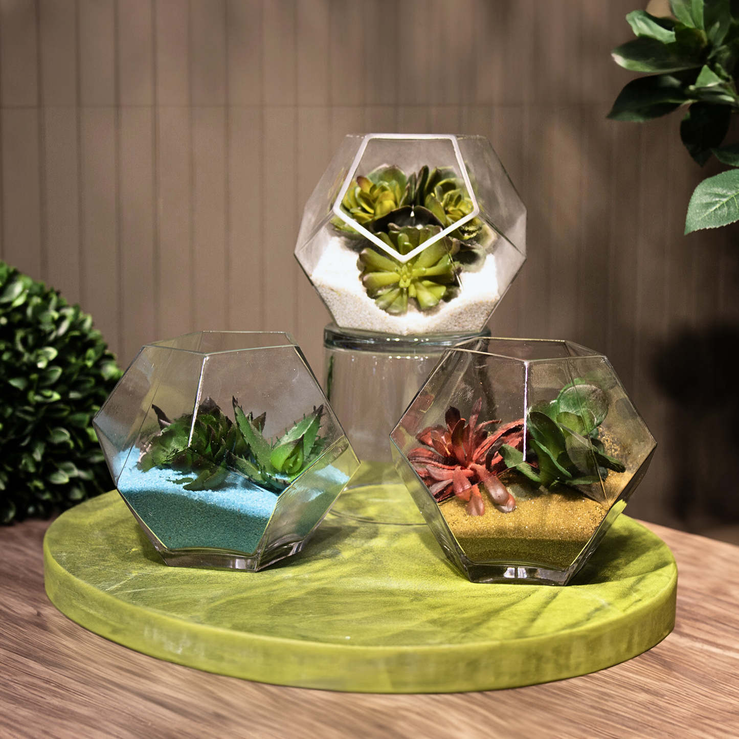 6.25"D Geometric Terrarium Bowl - Beckham Glass Vase