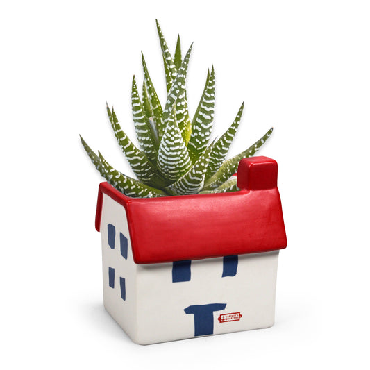 House Shaped Ceramic Planter Plant Pot Coastal Beach Holiday