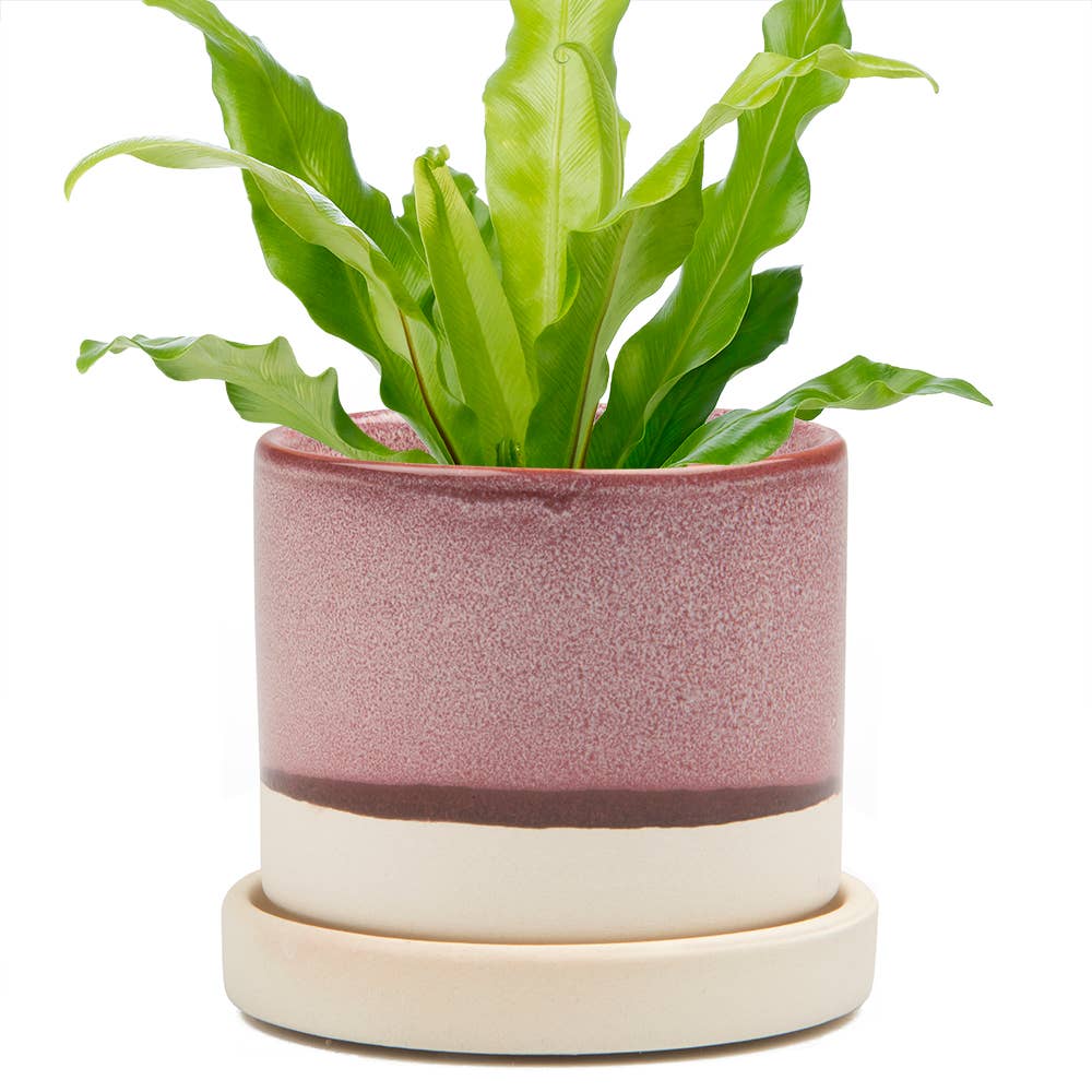 Minute Handmade Ceramic Planter Indoors Pot With Saucer