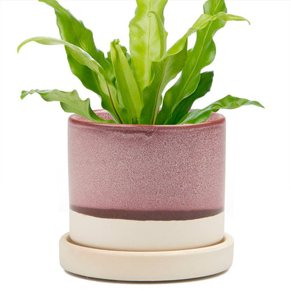 Minute Handmade Ceramic Planter Indoors Pot With Saucer