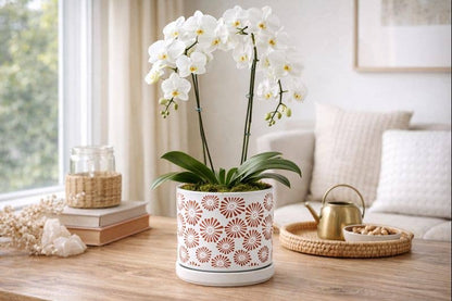 Red Zinnia White Planter with Saucer Item #17210
