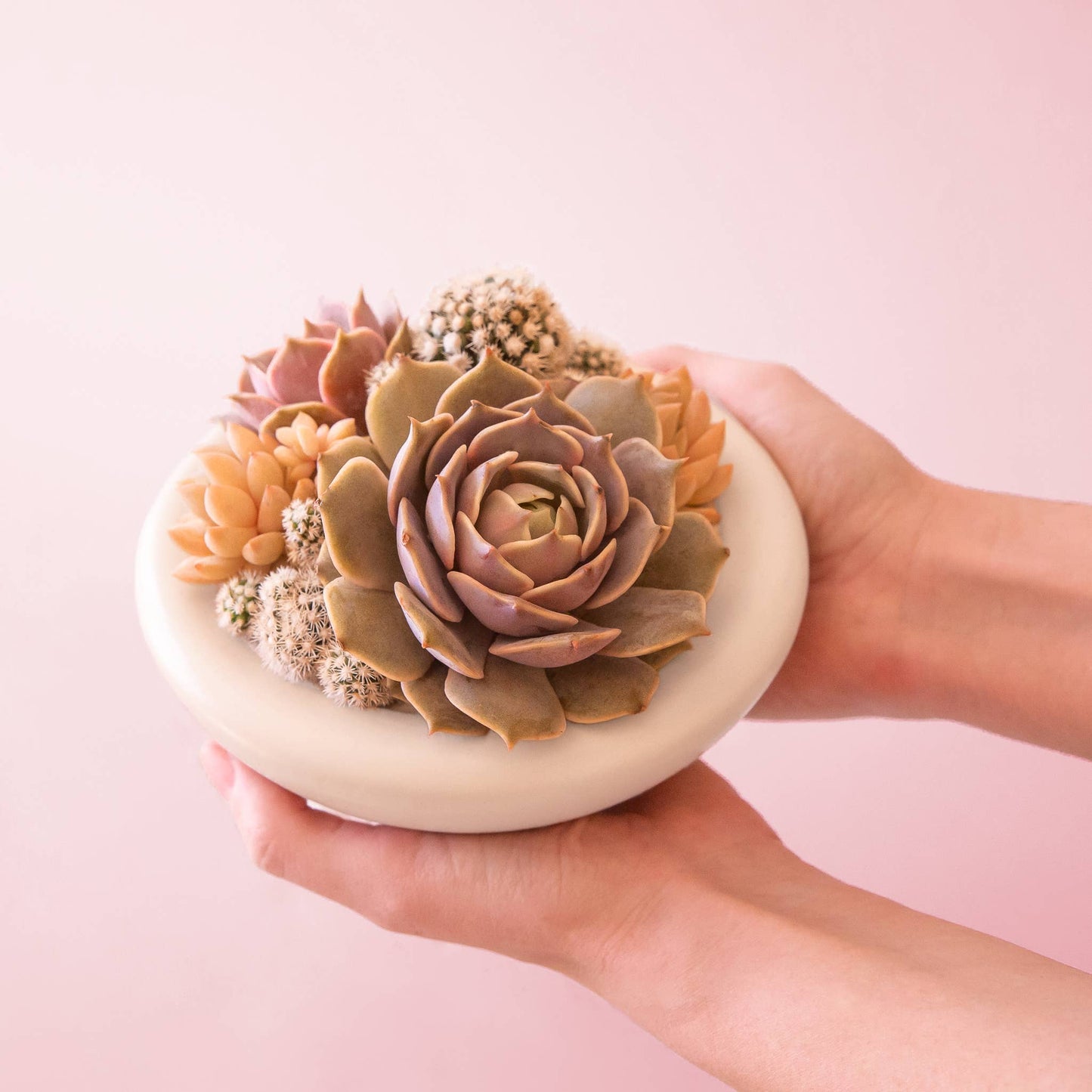 Birdie Bowl | Vintage White
