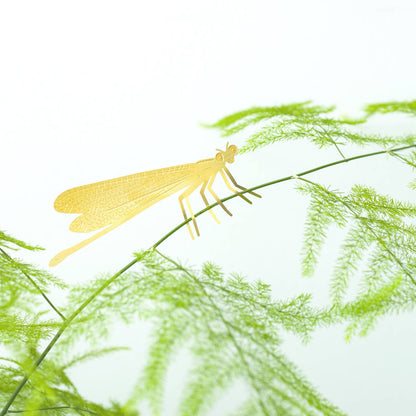 Plant Animal - Damselfly, insect plant accessory