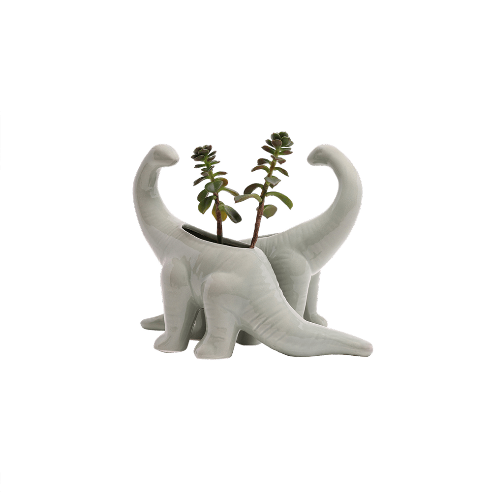 Dinosaur Ceramic Indoor Plant Pot Kits