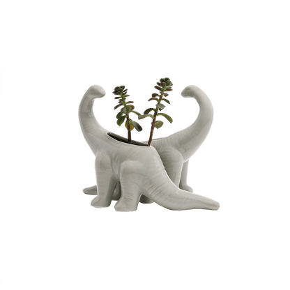 Dinosaur Ceramic Indoor Plant Pot Kits