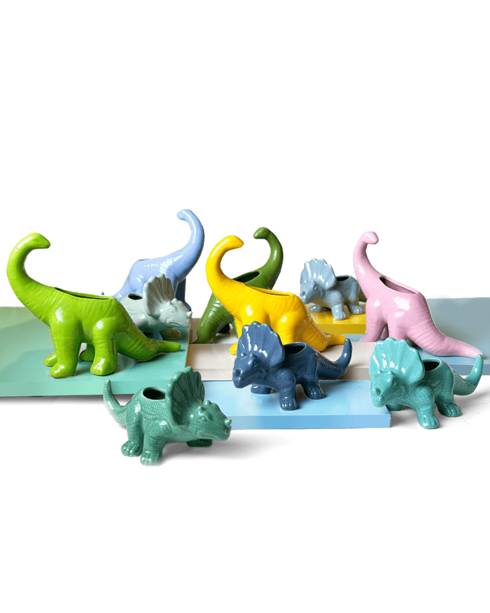 Dinosaur Ceramic Indoor Plant Pot Kits