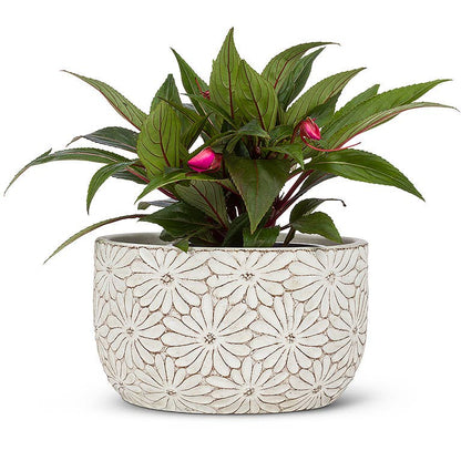 Sm Wht Daisy Low Round Planter-4"H