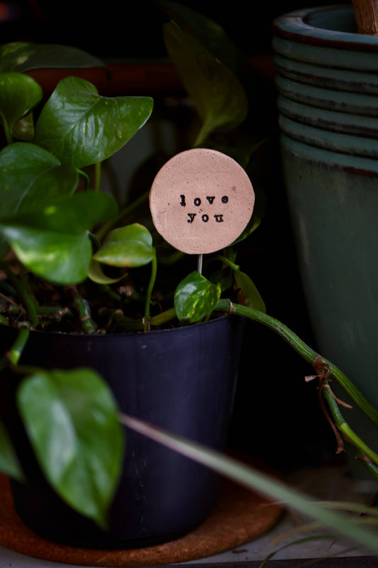 Plant Buddies - Text - Love You