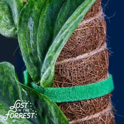 LITF Stackable Coir Pole