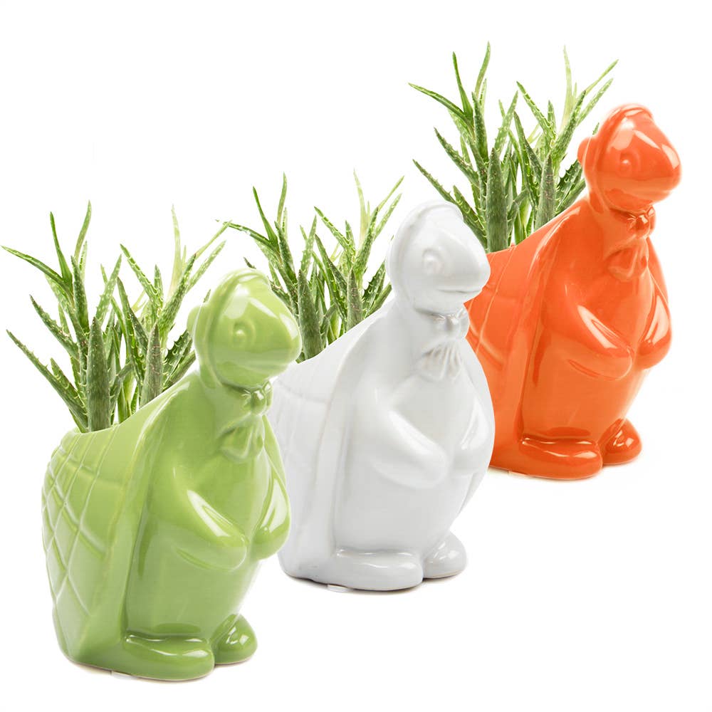 Duck/Turtle Indoor Plant Pot for Succulents