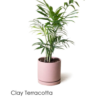 Dojo Flower Planter Pots With Drainage 3 Inch Planter