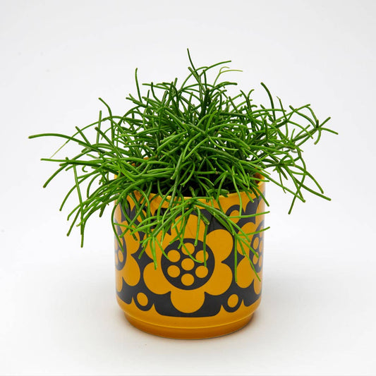 Magpie Hornsea Plant Pot | Geo Flower Yellow